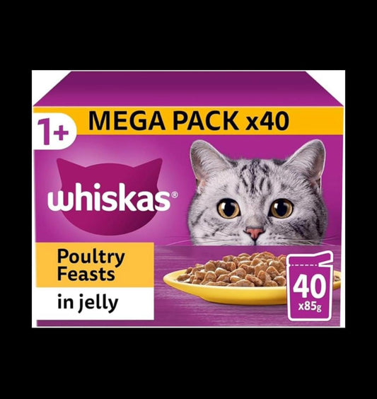 1+ Poultry Cat Food – 40 Pouches | Tasty, Jelly & Mega Pack